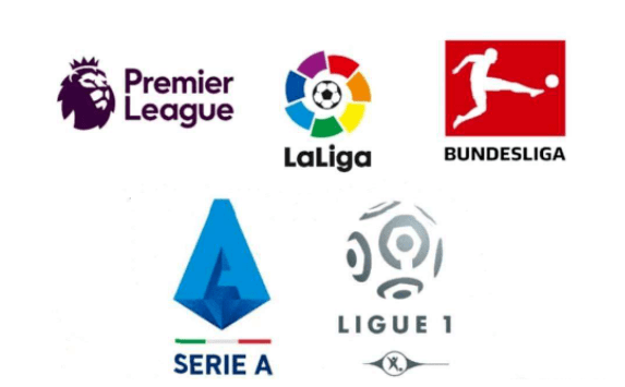 到了充分体 到了充分体